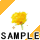 ��