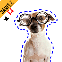 �X�^���v10